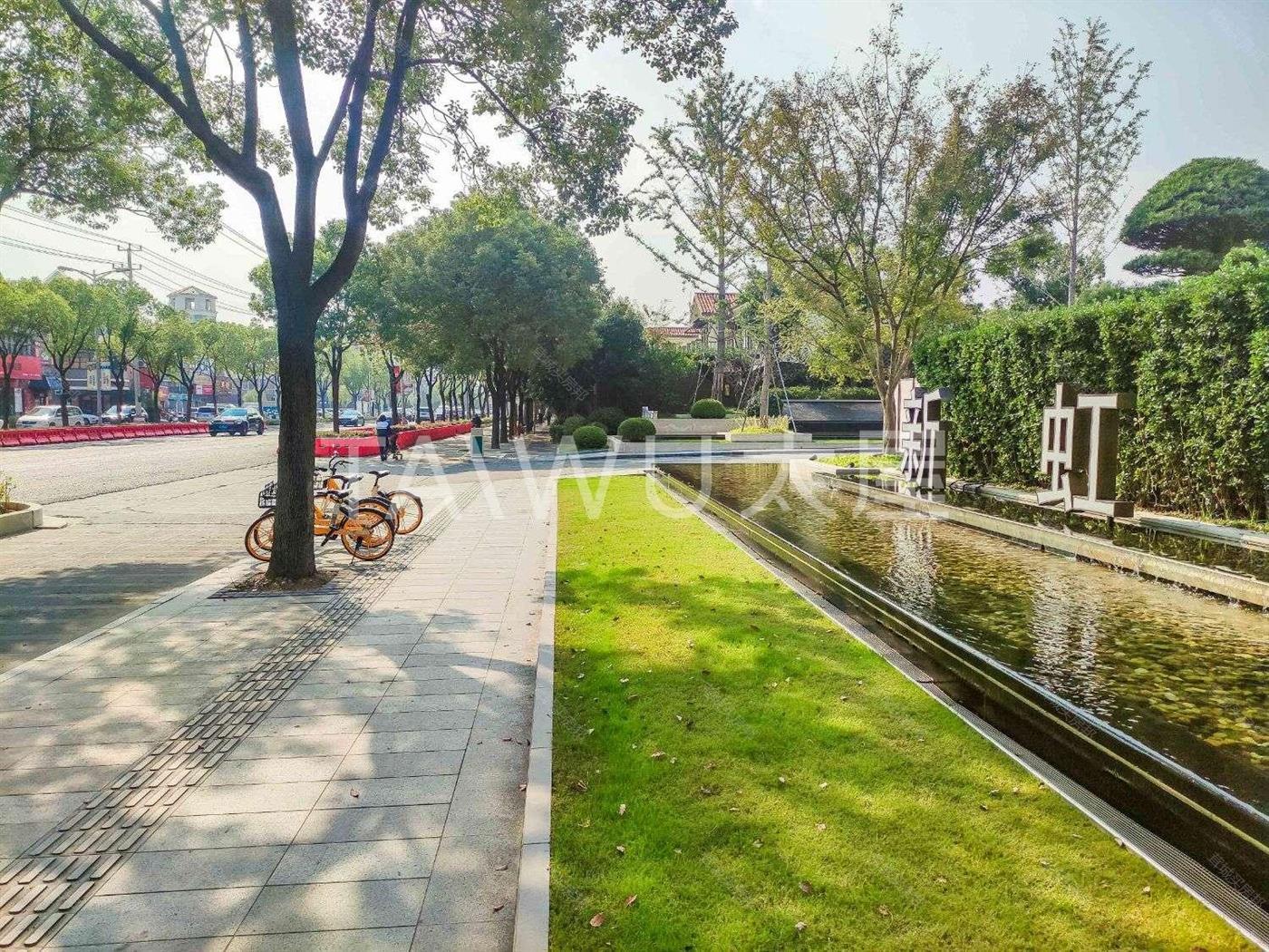 实景图片