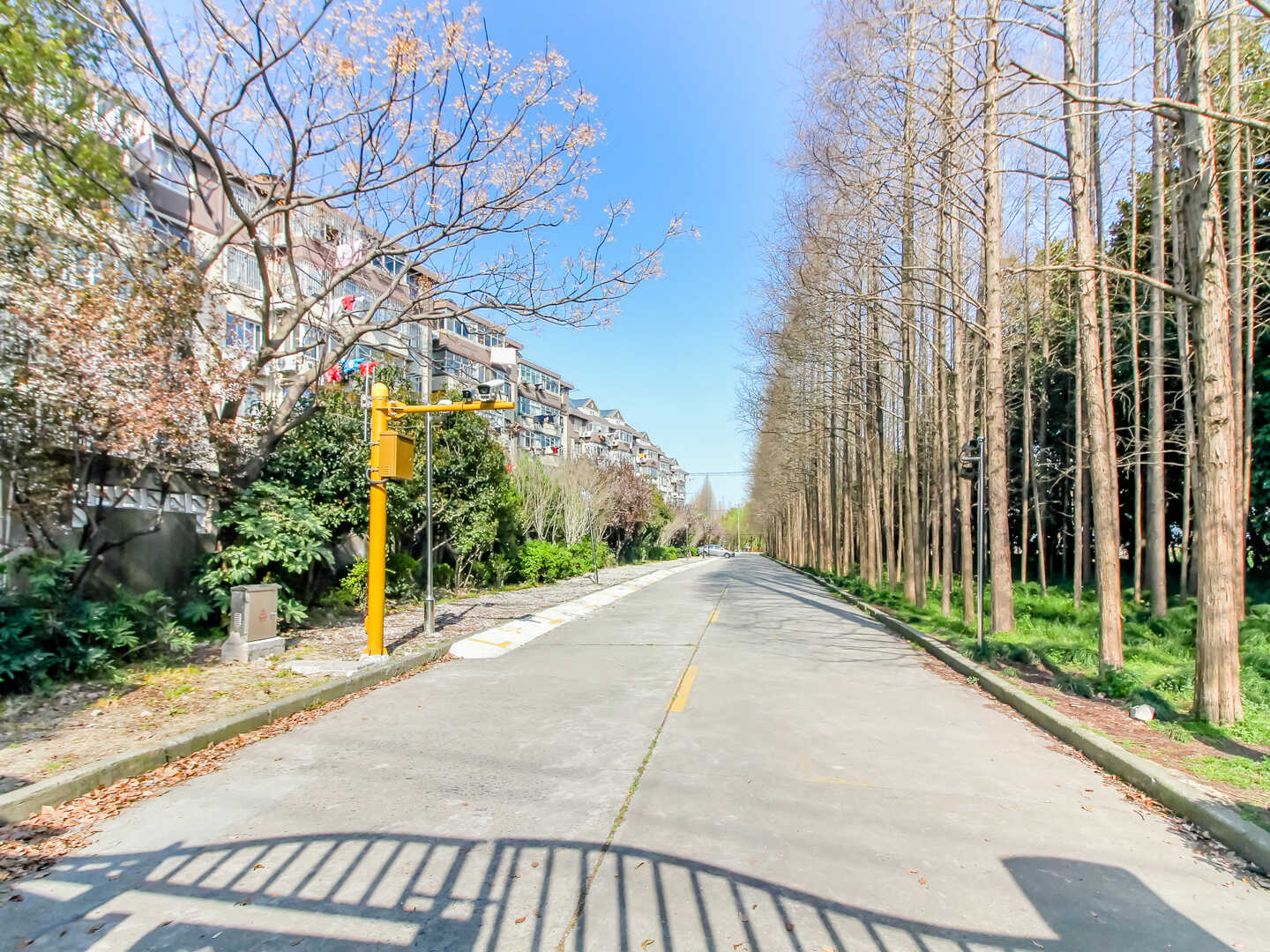 天乐新村