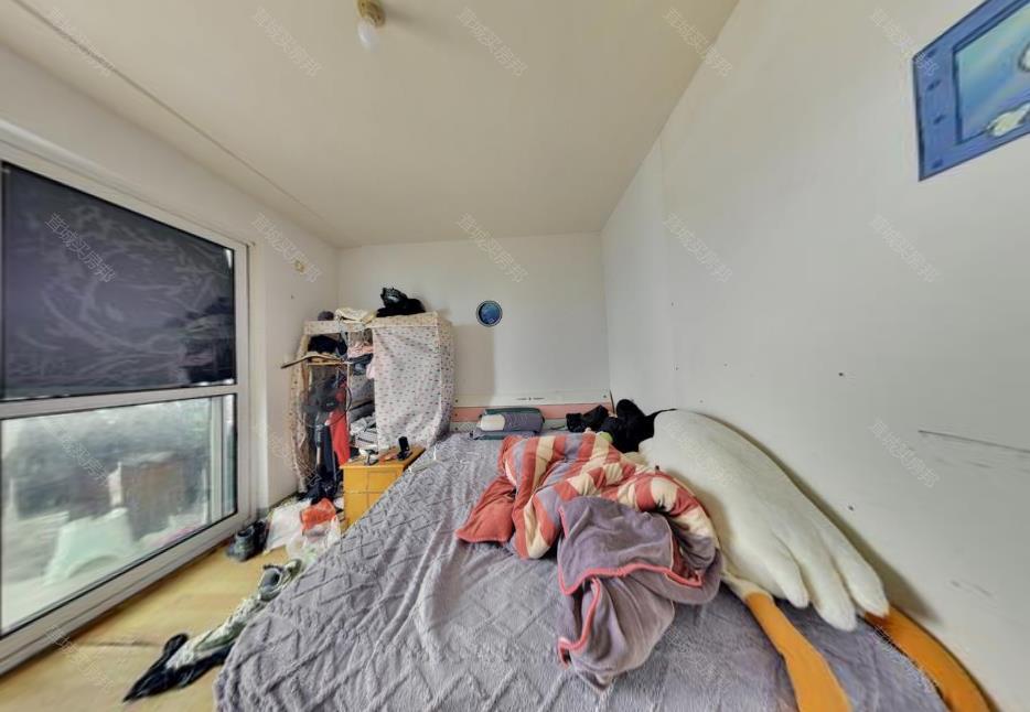 实拍图
