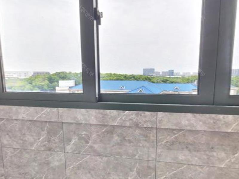 实拍图