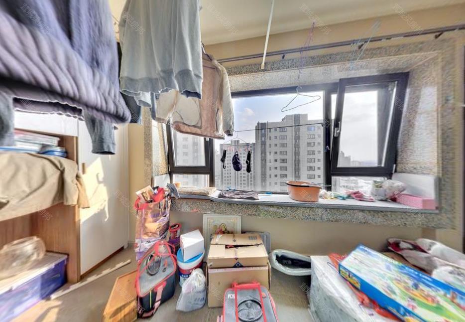 实拍图