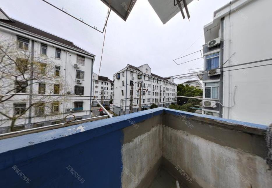 实拍图