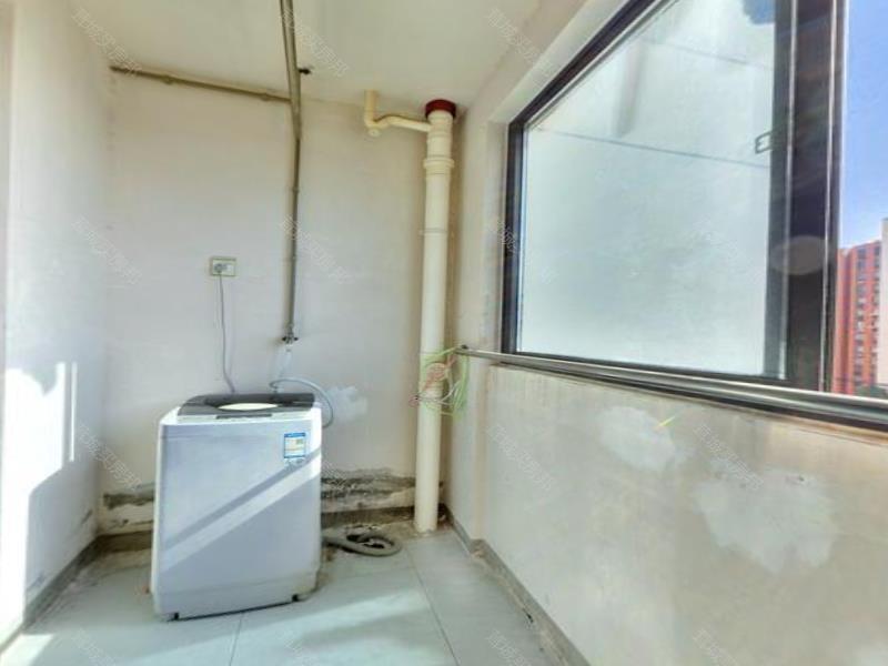实拍图